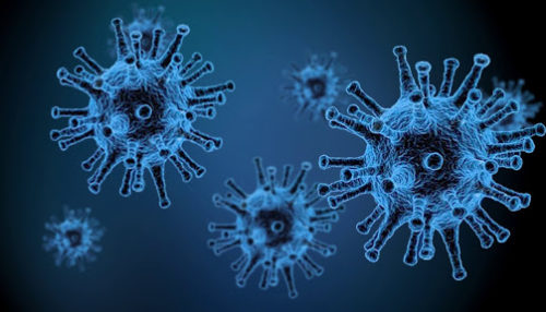 komórki wirusa